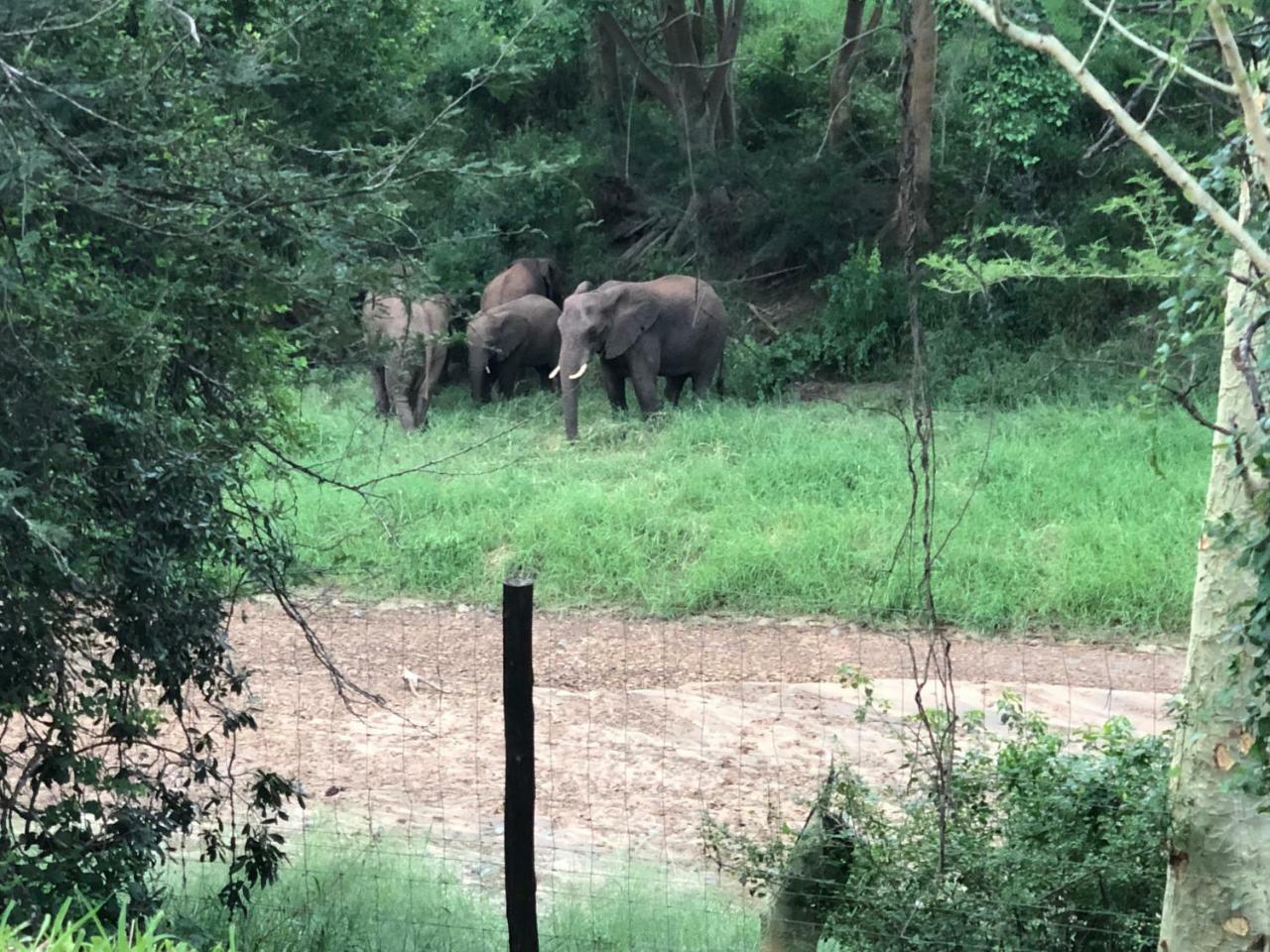 Mkuze Msunduze River Lodge מראה חיצוני תמונה