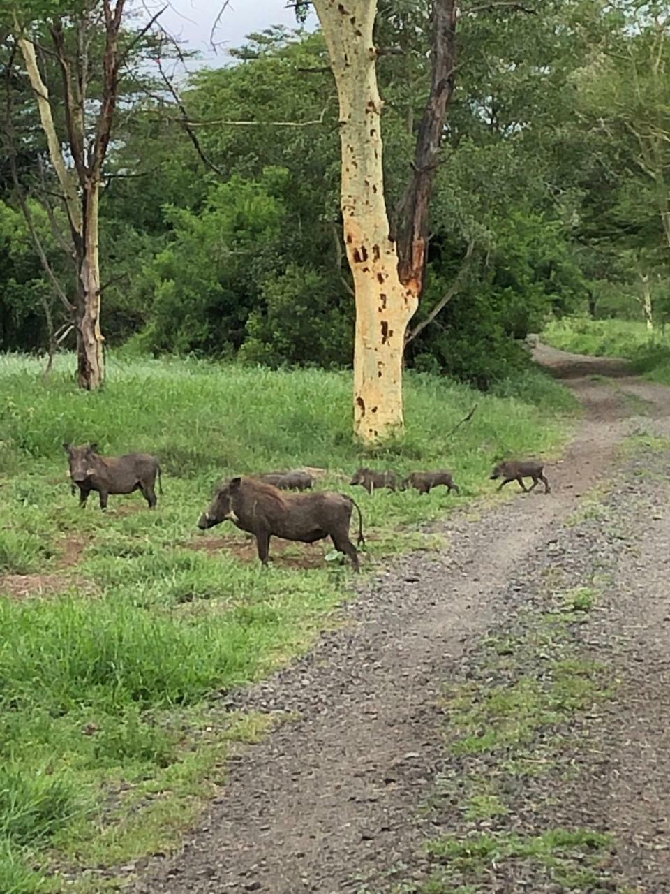 Mkuze Msunduze River Lodge מראה חיצוני תמונה